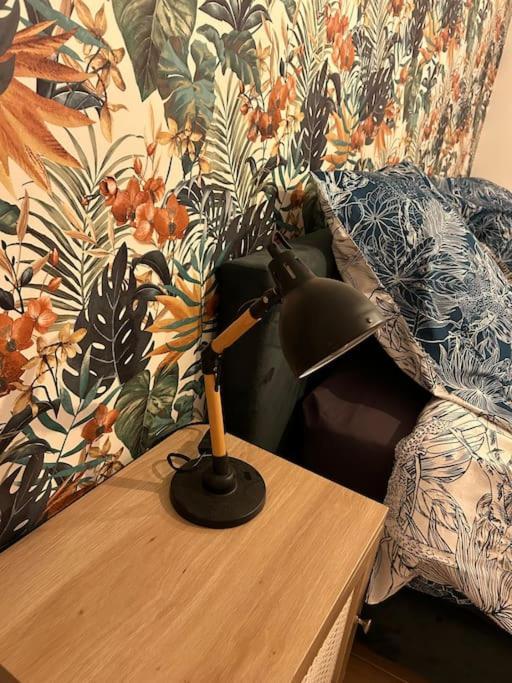 Apartmán Le Floral Carcassonne Exteriér fotografie